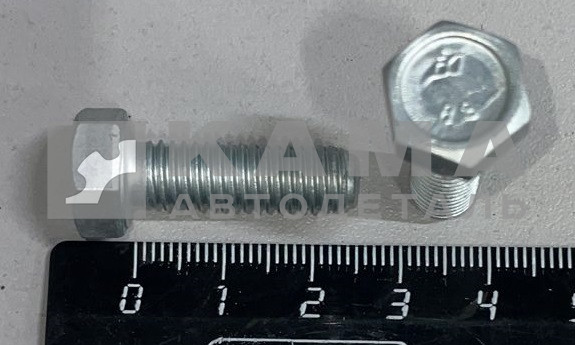 болт М 8 х25х1,25 (1-60436-21)