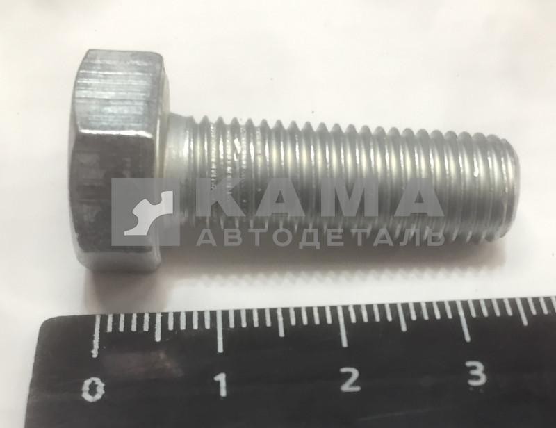 болт М10 х30х1,25 (1-13069-21) 870012
