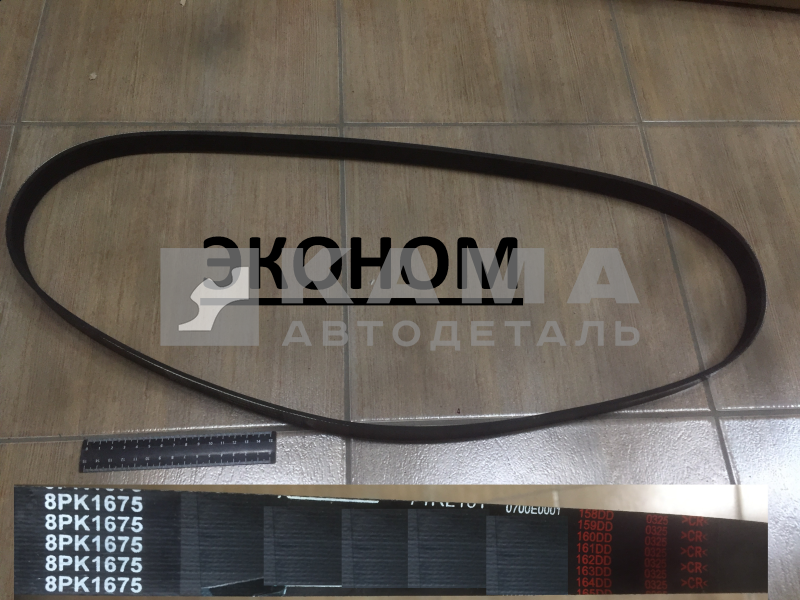 ремень 1675 ЕВРО-5 (8РК-1675) ЭКОНОМ (ДВС КАМАЗ Е-5, MERCEDES, Cummins)