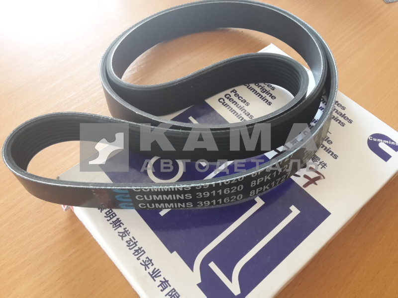 ремень КАММИНС 1727 (1725) 8РК (эконом) (3288475/3911620)