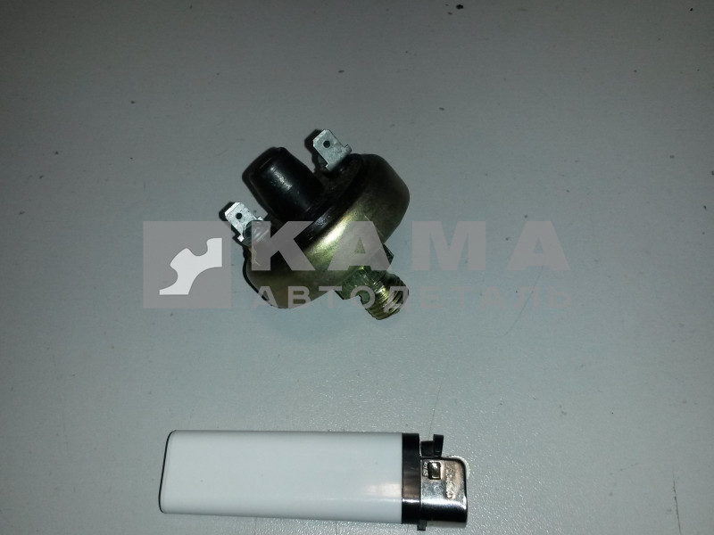 датчик воздушного фильтра (индикатор засоренности) 132.3839600 37.003.1025-80