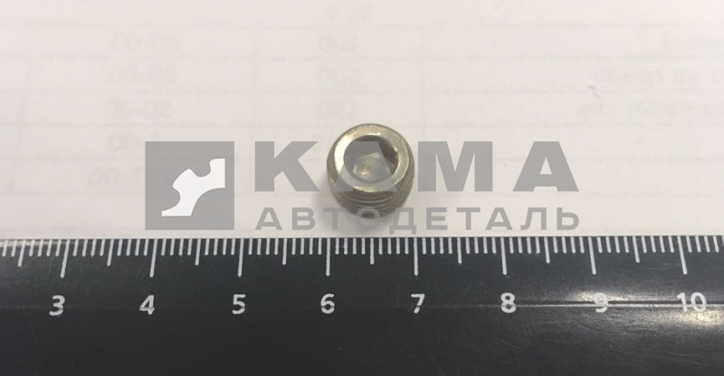 пробка КГ 1/8" масляного канала 870884