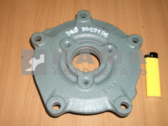 крышка (корпус) привода ТНВД-стар.обр. (ЗАД. подш.) 740.1029176 (чугун, большая)