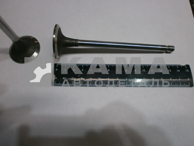 клапан ГБЦ КАММИНС ISLe,L,ISCe, QSL Впускной 3942588 (5307875,4981794,3970727,3800340,110.113)эконом