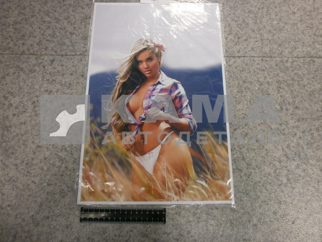 наклейка "ДЕВУШКА" №5 к-т из 2-ух на 2 стороны (30х45 см) полноцветная, на спальник