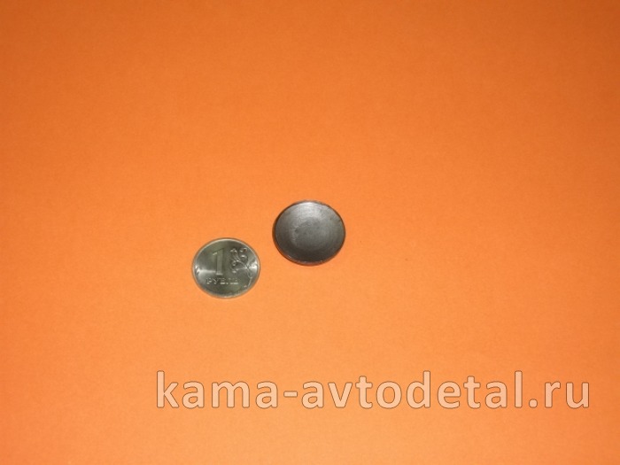 заглушка картера МОД Редуктора ("тарельчатая", Д22мм) 1/01589/00 (У127)* 1/01589/00 заглушка картера МОД Редуктора ("тарельчатая", Д22мм) 1/01589/00 (У127)* 1/01589/00