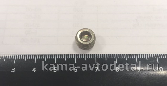 пробка КГ 1/8" масляного канала 870884 