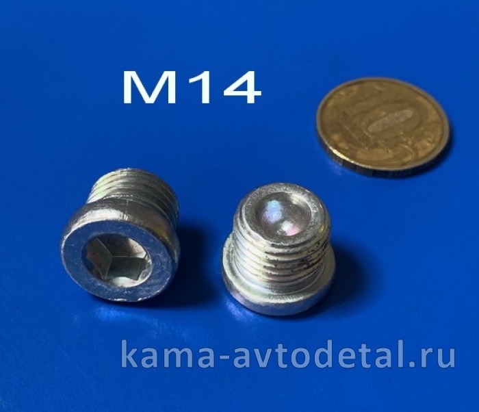 пробка М14х1,5 (внутр.6гран) 870885 (заглушка транспортная трубки топл.выс.давл./ РК6522) 870885
