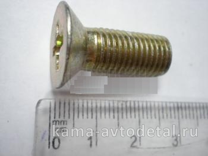 винт М10х25 (853352) крепления торомз.барабана 853352