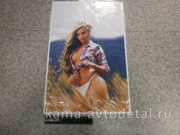 наклейка "ДЕВУШКА" №5 к-т из 2-ух на 2 стороны (30х45 см) полноцветная, на спальник 